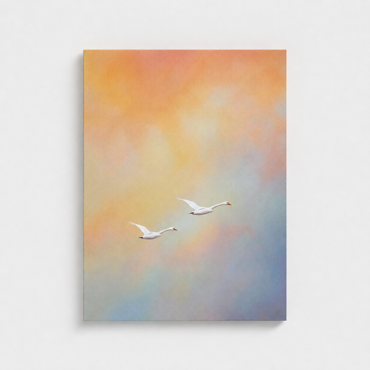 Silent Flight