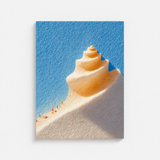 Shell beach